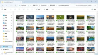 缩略图